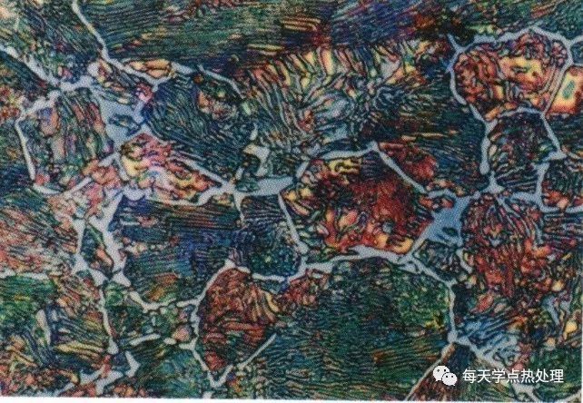 過共析鋼典型金相圖.jpg 過共析鋼典型金相圖.jpg