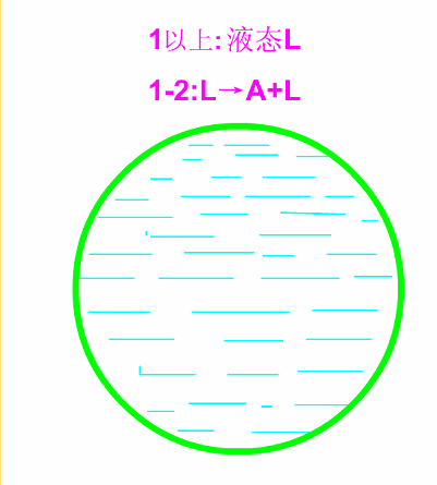 亞共晶鑄鐵平衡結晶示意圖.gif 亞共晶鑄鐵平衡結晶示意圖.gif