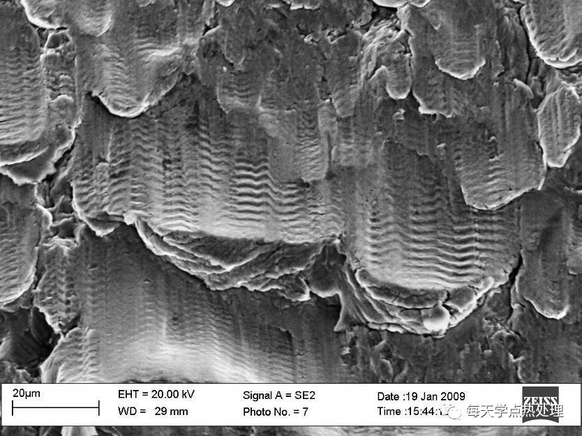 輪胎花樣.webp.jpg 輪胎花樣.webp.jpg