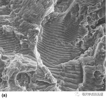 疲勞輝紋.webp.jpg 疲勞輝紋.webp.jpg